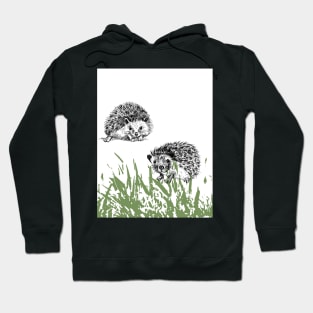 Cute hedgehogs design Hoodie